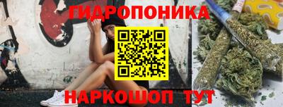соль ск Лесосибирск