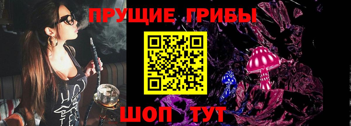 Псилоцибиновые грибы прущие грибы  Вход с VPN  Троицк 